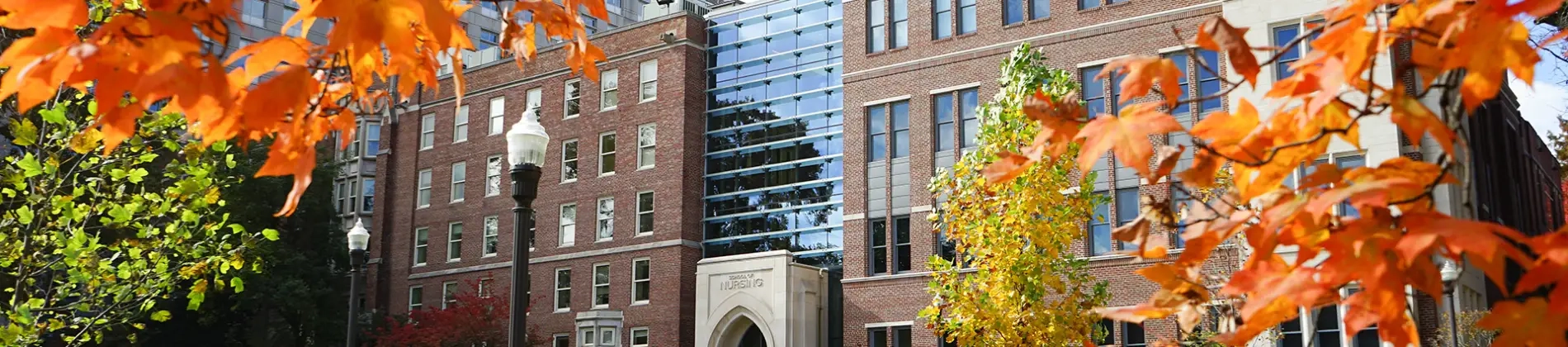 Cinema and Media Arts